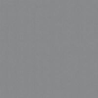 RAL 9023